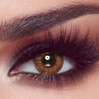 Bella One Day- Almond Brown - New