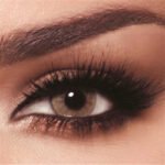 Bella One Day Hazel Beige - 10 Lenses