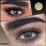 cateyes