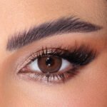 Amara Lenses Ginger Bread - 2 Lenses