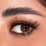 Amara Lenses Classic Brown - 2 Lenses