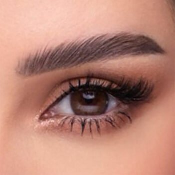 Amara Lenses Chocolate - 2 Lenses