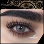Nada Fadel Wosama- 2 Lenses